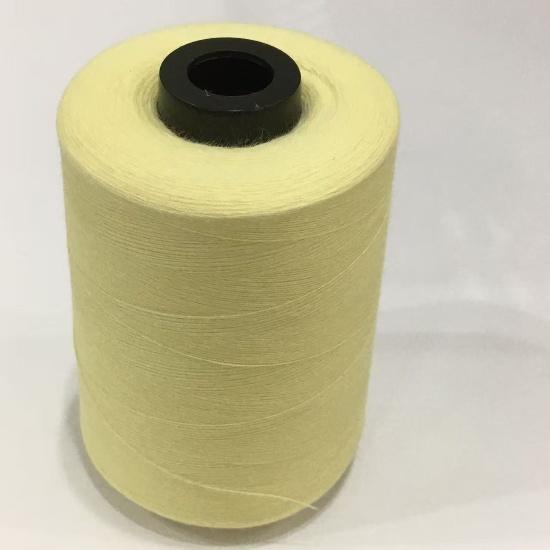 Para Aramid Yarn