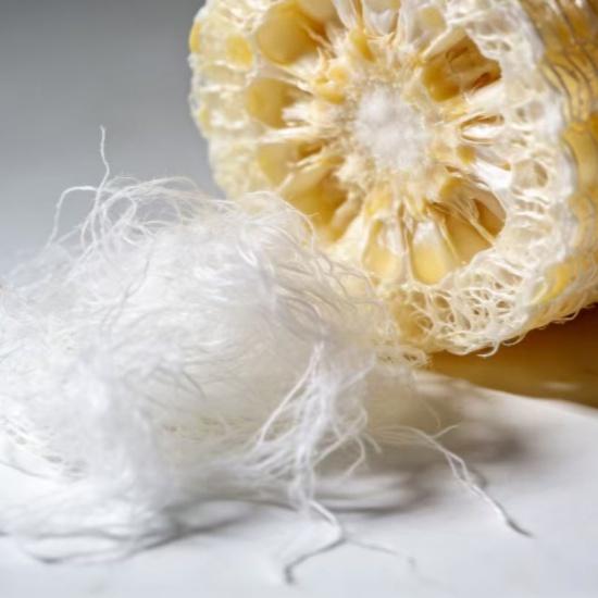 Fibre chimiche a base biologica