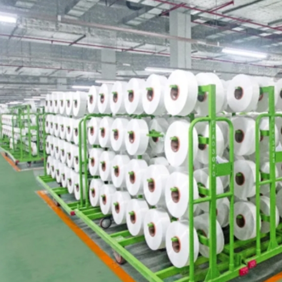 fibra differenziata ---SD+CD
