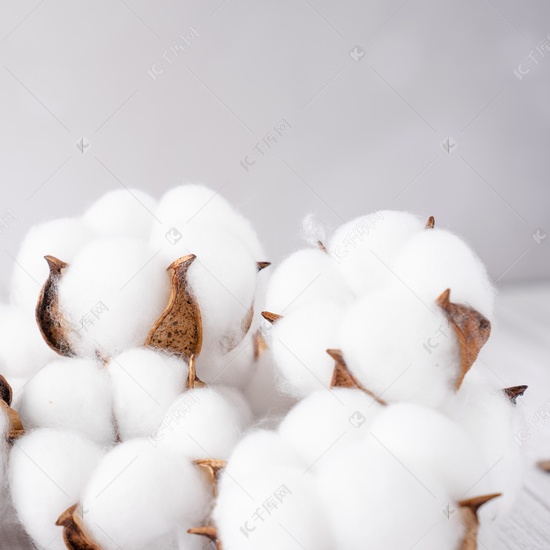 Lo stock di garza più basso negli uffici di stock commerciali di cotone negli ultimi cinque anni è ovviamente diminuito.